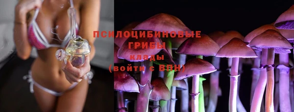 гашик Россошь