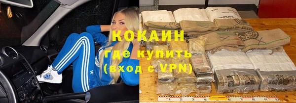 гашик Россошь