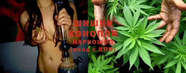 гашик Россошь